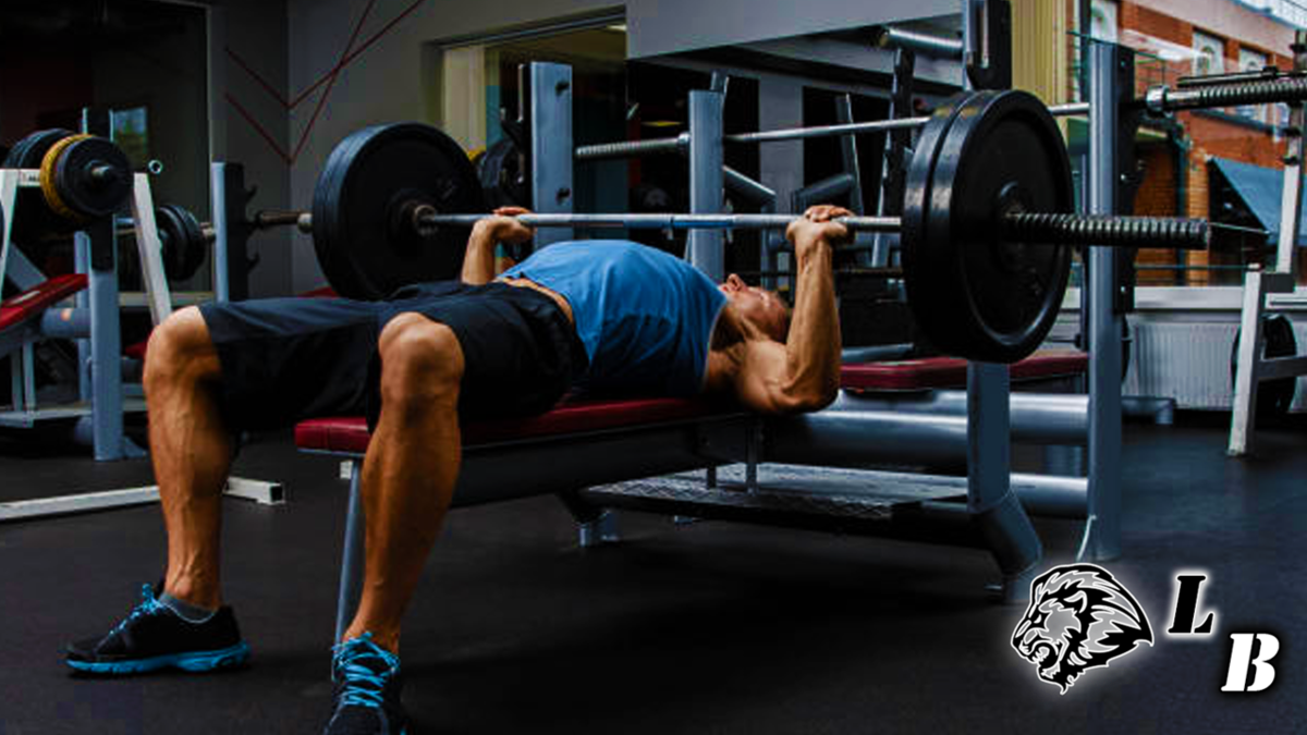 Оптимальный угол спины при жиме лежа нужно ли выгибать