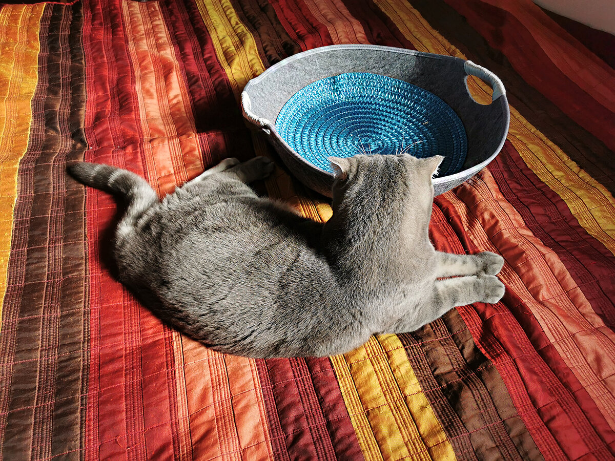 Фото автора