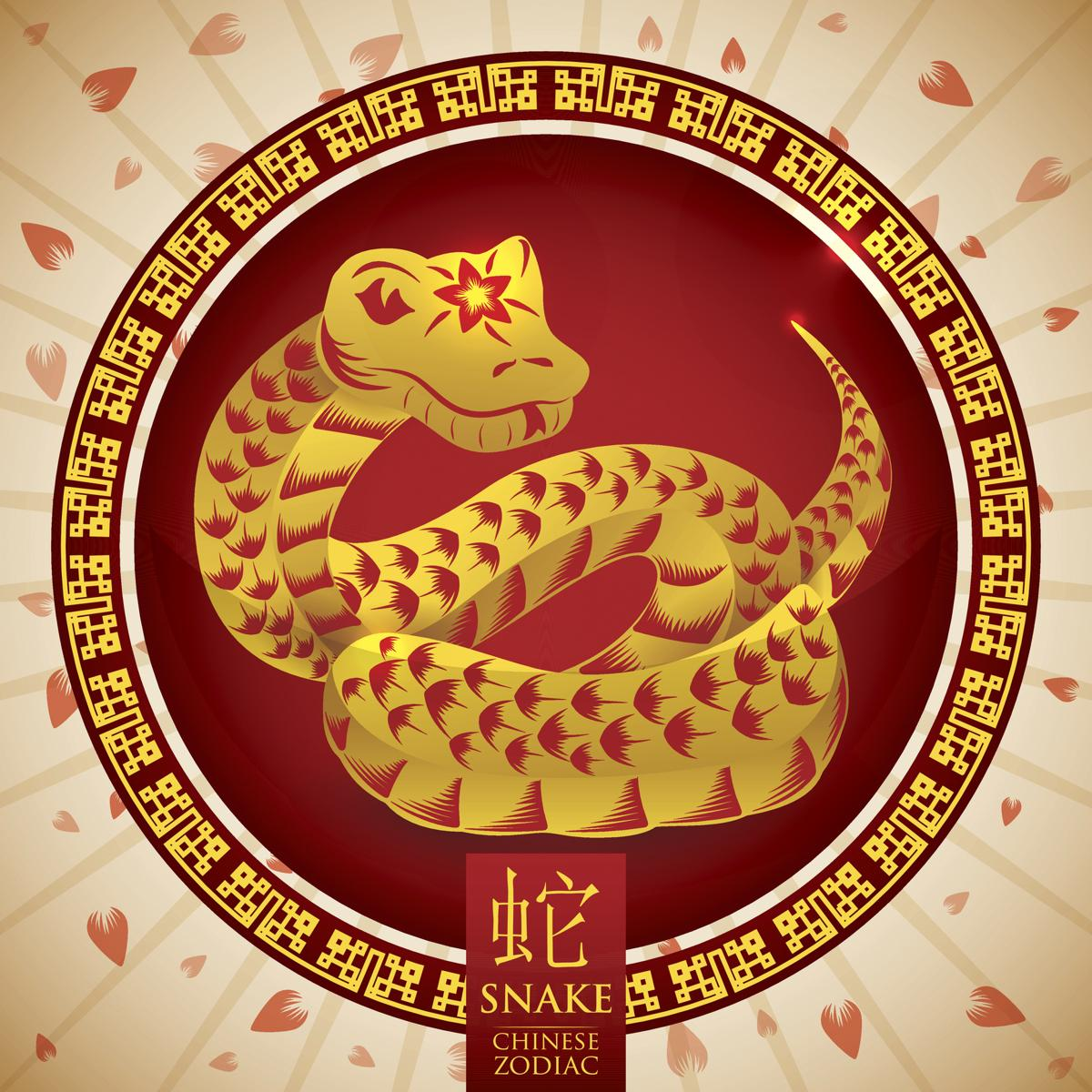 Китайский гороскоп змея. Зодиак змея. Китайский Зодиак. Китайский год змеи.