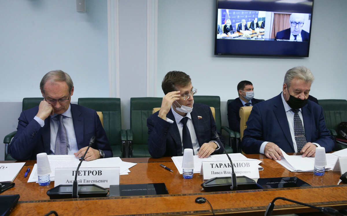 Выступление Павла Тараканова. Источник: council.gov.ru