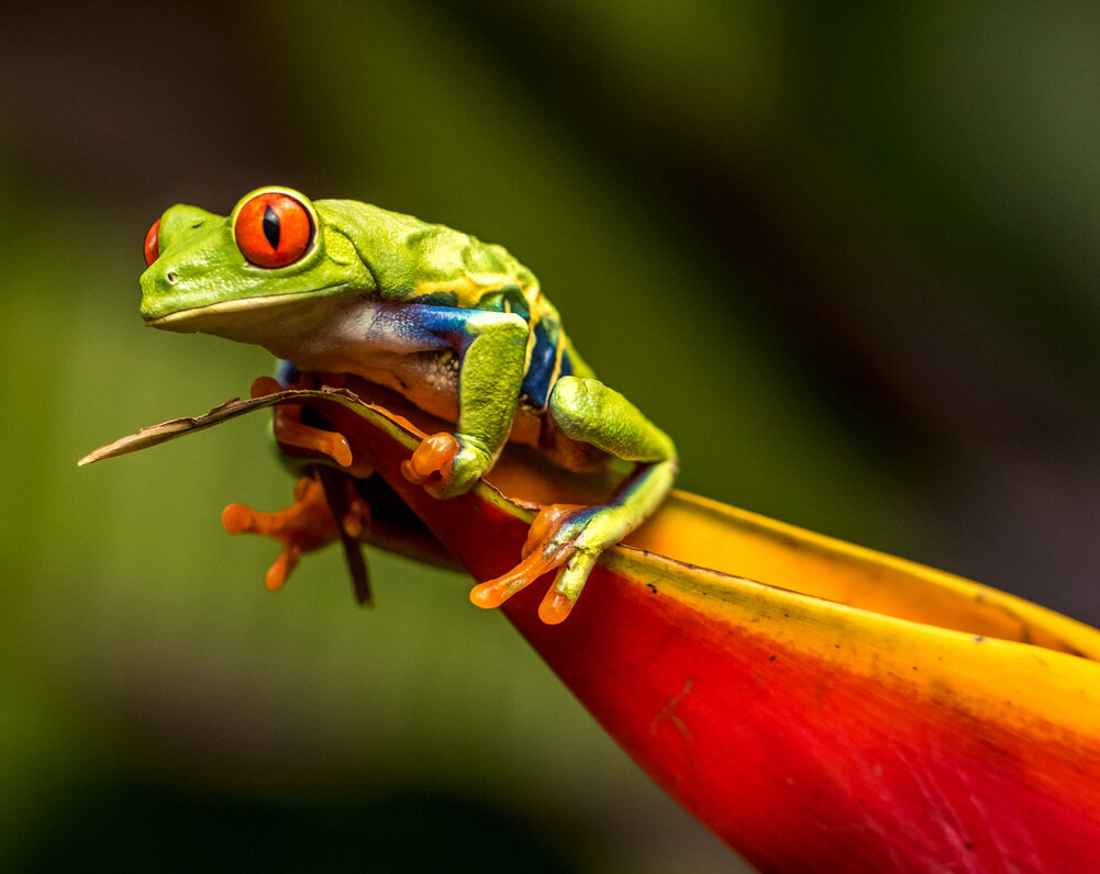 Сделайте всю неприятную работу, и вам сразу станет легче.