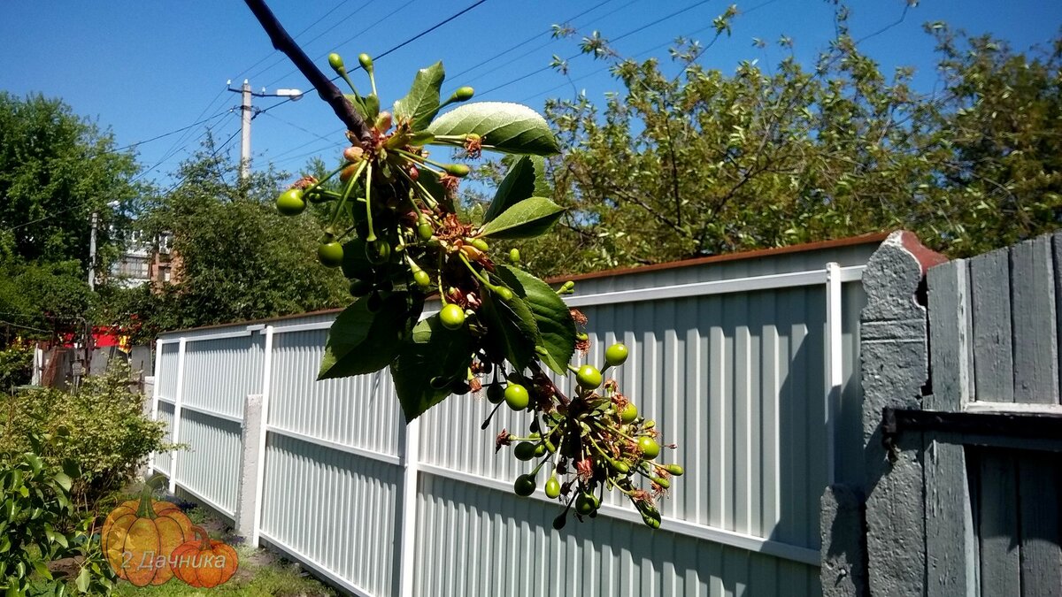 Забор стоит, а трудности забылись.