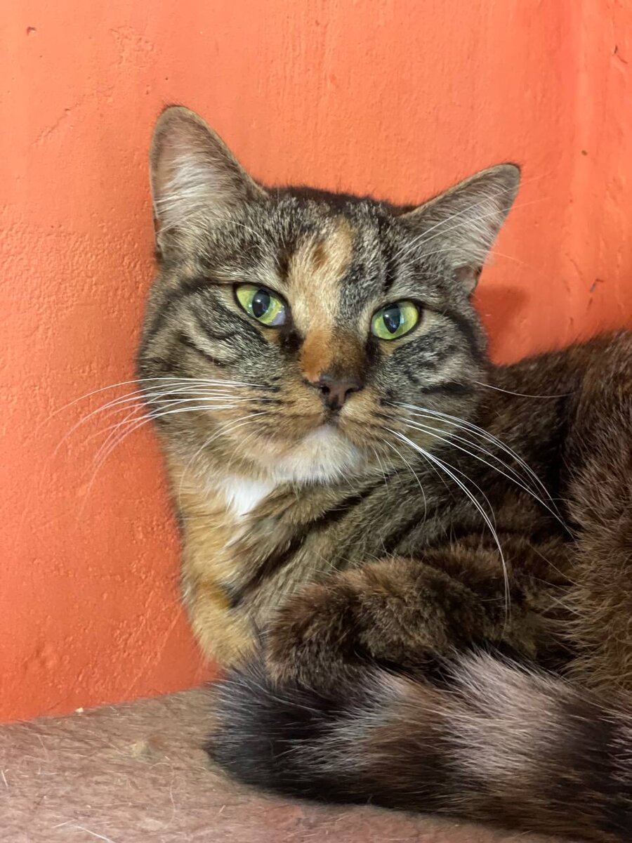 Фото авторов. Барабуля