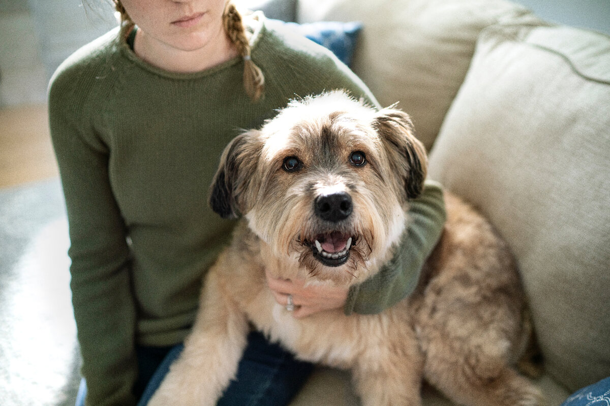 Средние породы собак невероятно популярны среди любителей домашних животных. Они достаточно хорошо уживаются в квартирах, а также отлично чувствуют себя в больших домах.