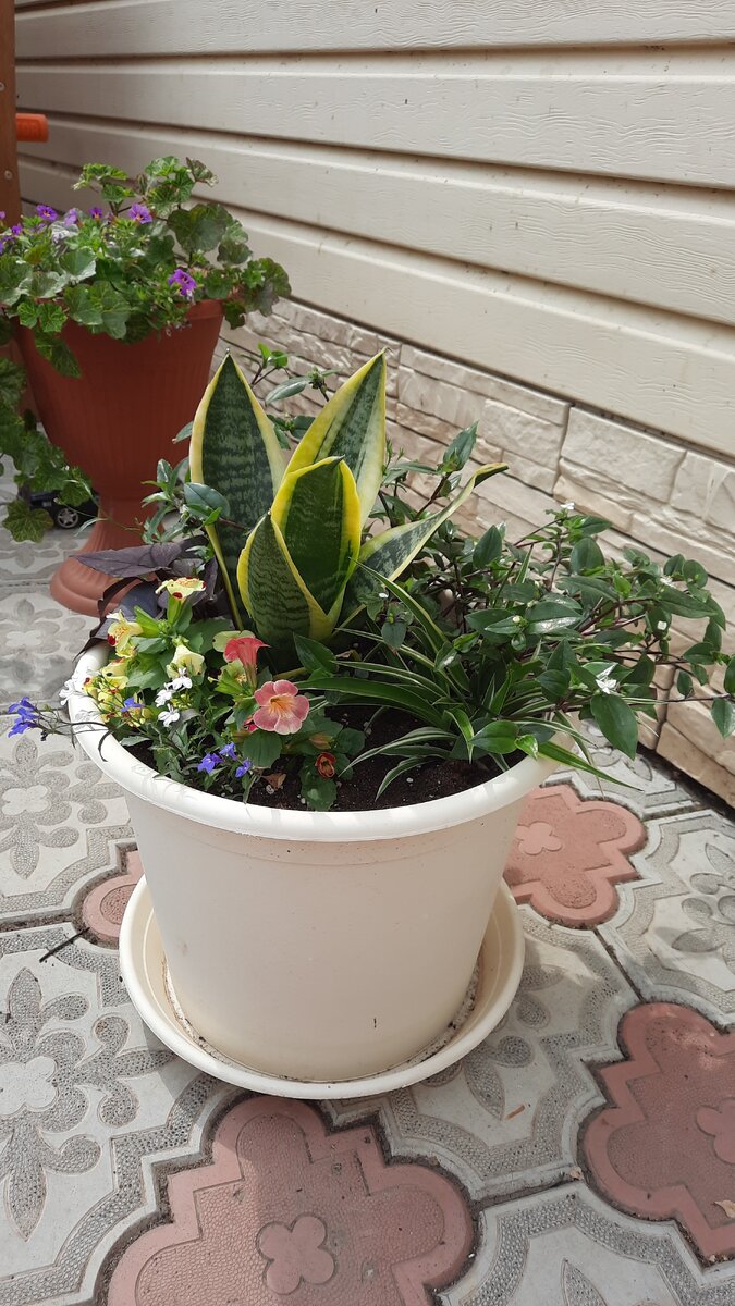 24 мая 2021. Фото автора