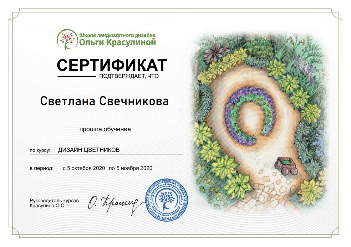 5 важных правил ухода за розами Ольга Красулина Дзен