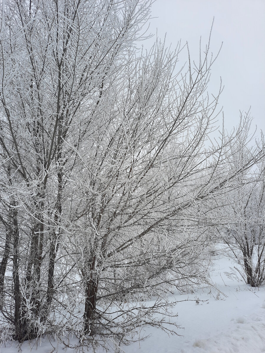 Сегодня последний день зимы, а как то и не чувствуется) у нас ещё по зимнему всё)
