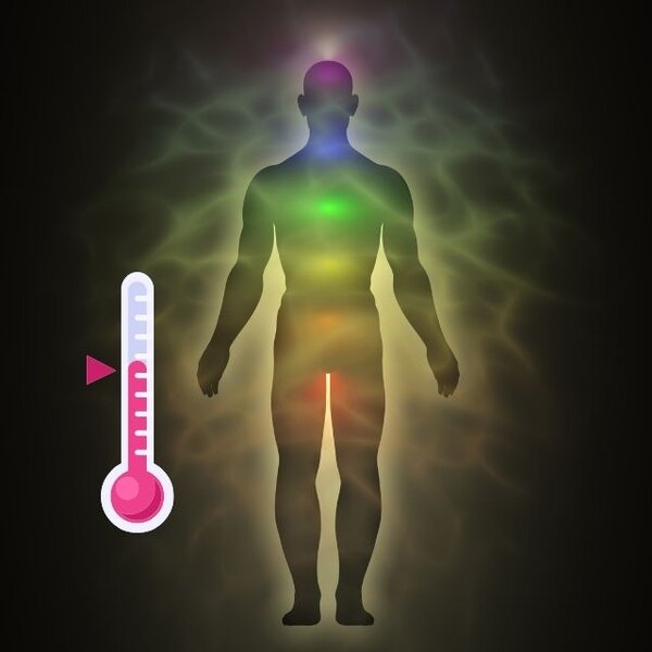 30 de fapte puțin cunoscute despre corpul uman care nu sunt predate la școală