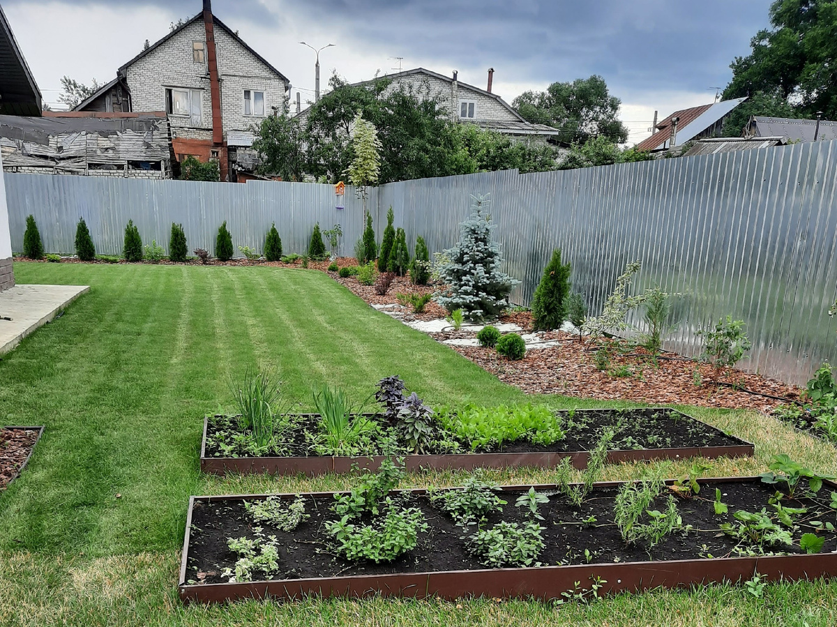 Огород. Грядки из металла, высотой 17,5см.  Источник: личная галерея