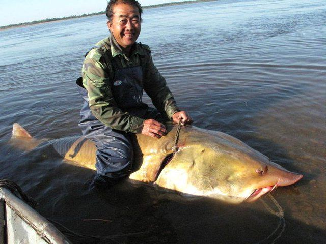 Чего стоишь? Присоединяйся к нашим скачкам на рыбах!  