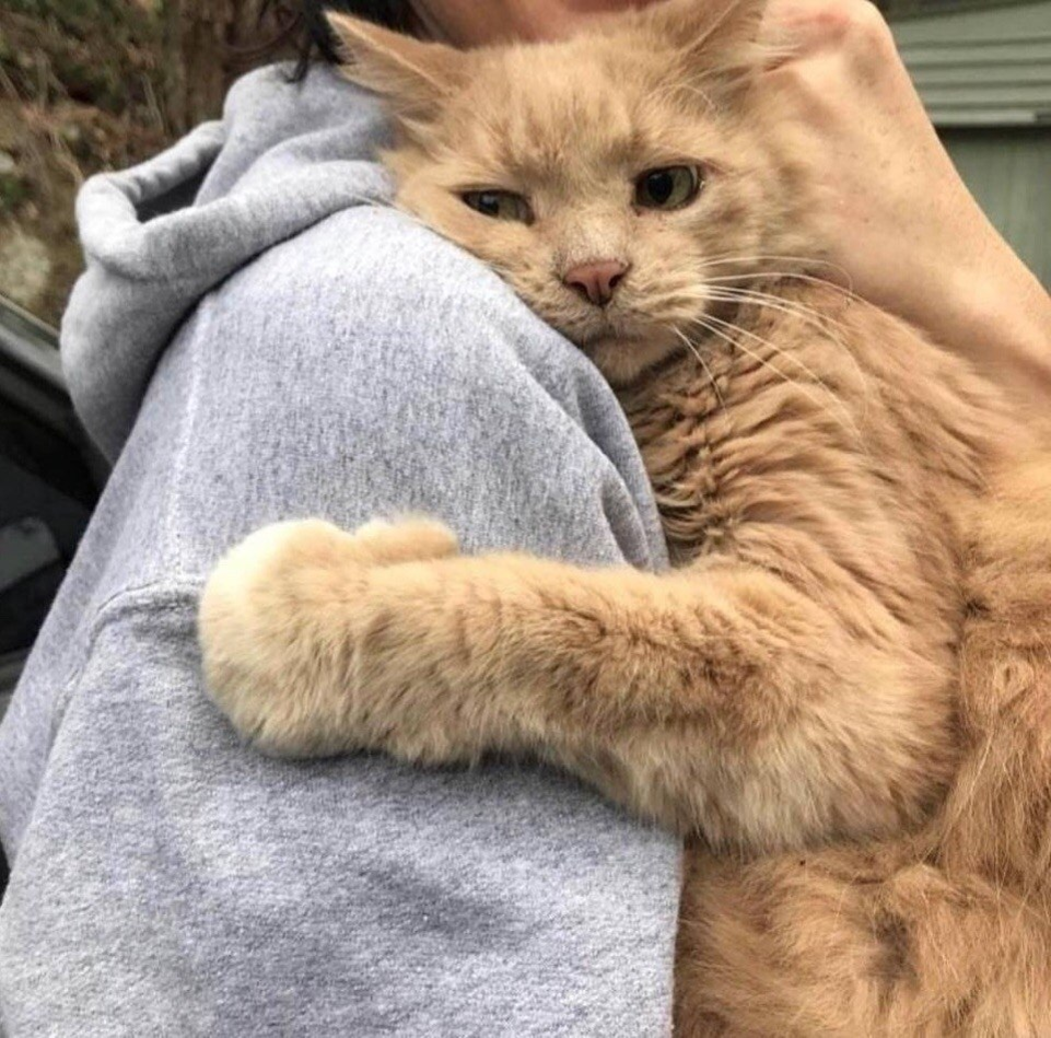 Фото из открытого источника. Спасибо автору. 