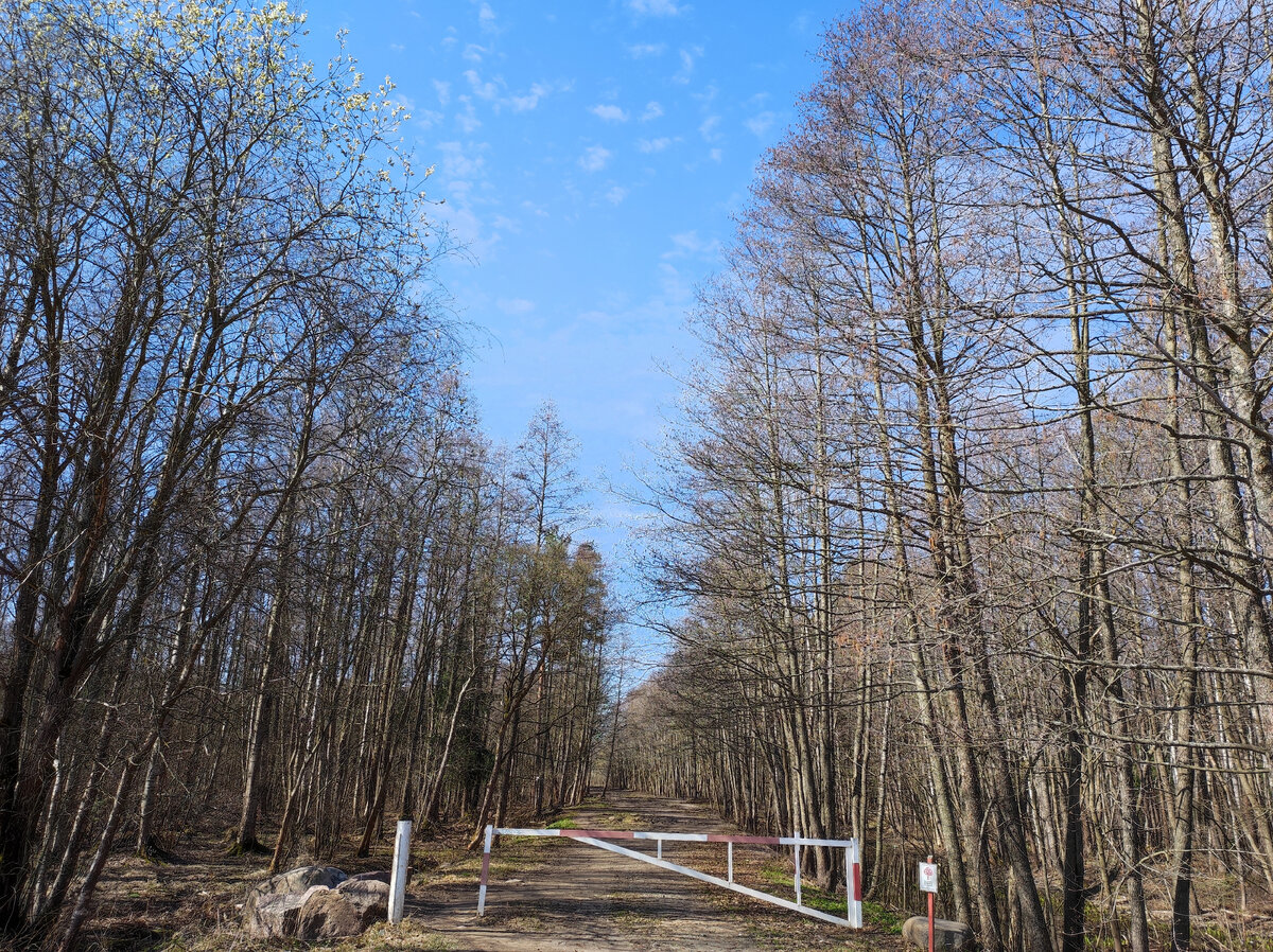Вход в Тарховский лесопарк