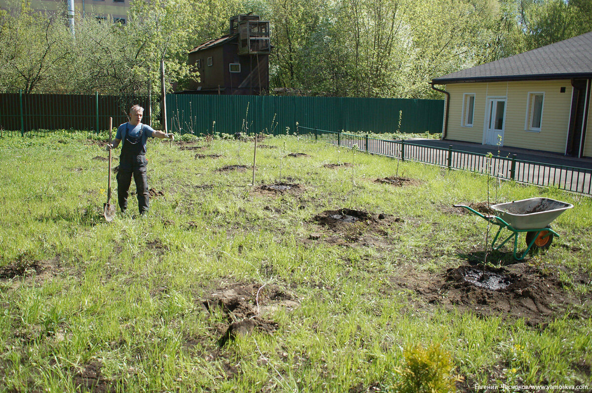 Город на память». 377. «Красный Богатырь» и село Богородское | Город на  память | Дзен