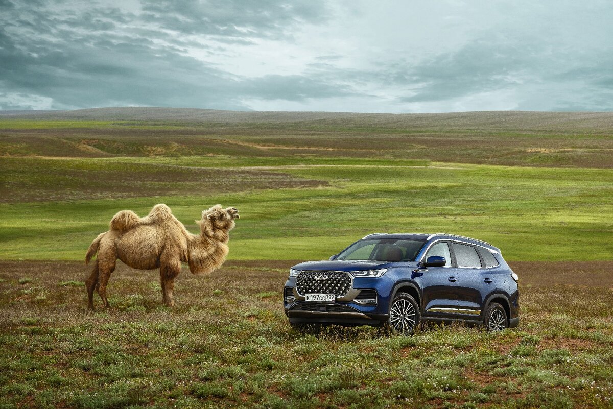 Chery Tiggo 8 Pro Max - точно не верблюд, хотя и не боится песков. Технические характеристики найдете в конце материала.