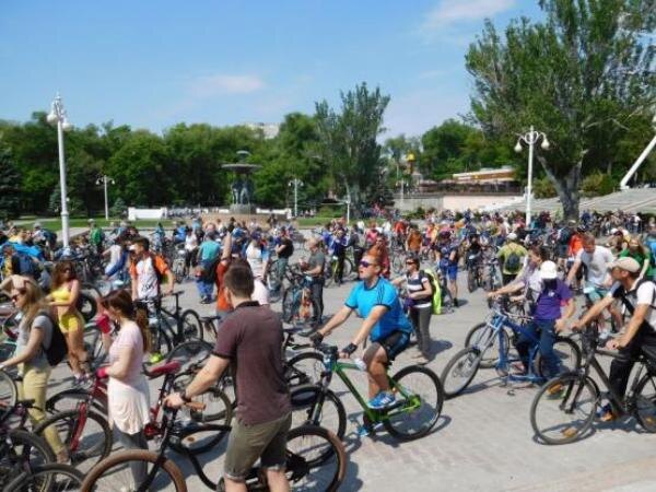 Источник фото: rostov.aif.ru 