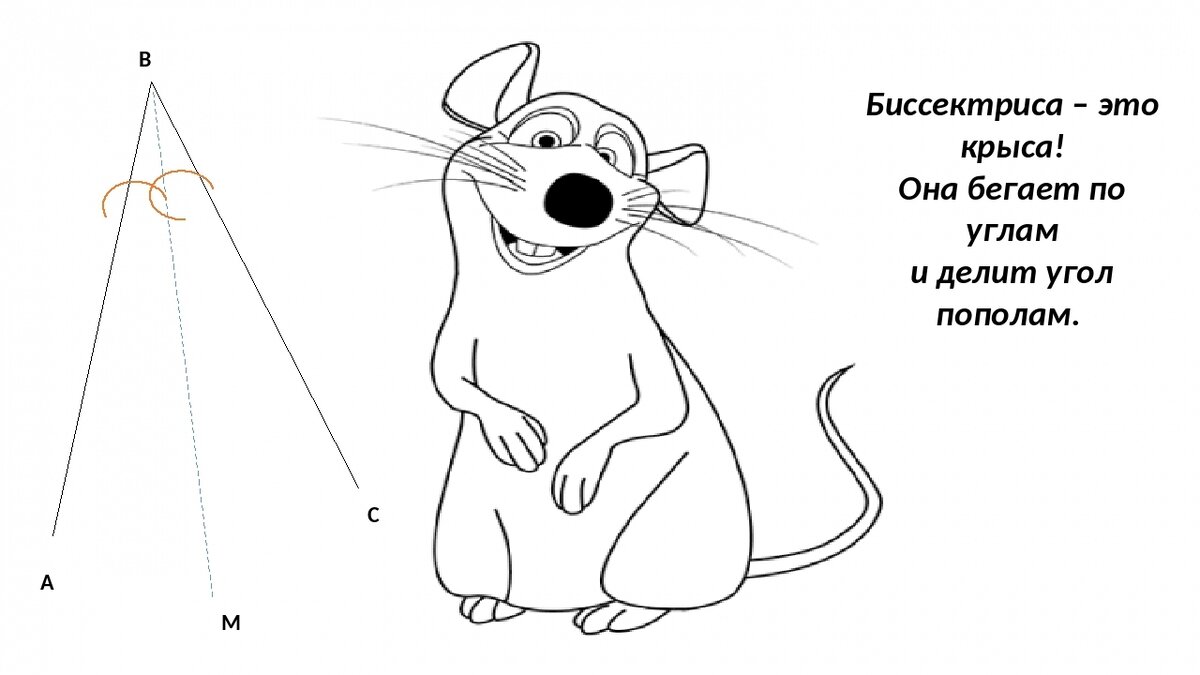 крыса делит угол пополам. крыса делит угол. биссектриса это крыса. биссектриса это крыса. биссектриса это крыса которая бегает по углам и делит.