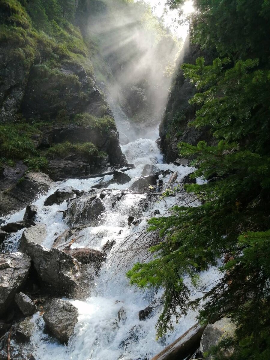 Снято на смартфон HONOR 20e. Автор: Oleg23rus.