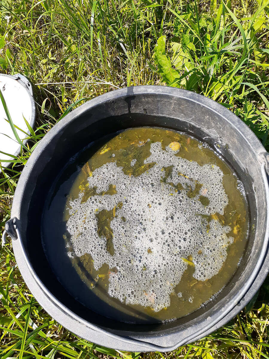 Готовое зелёное удобрение. 