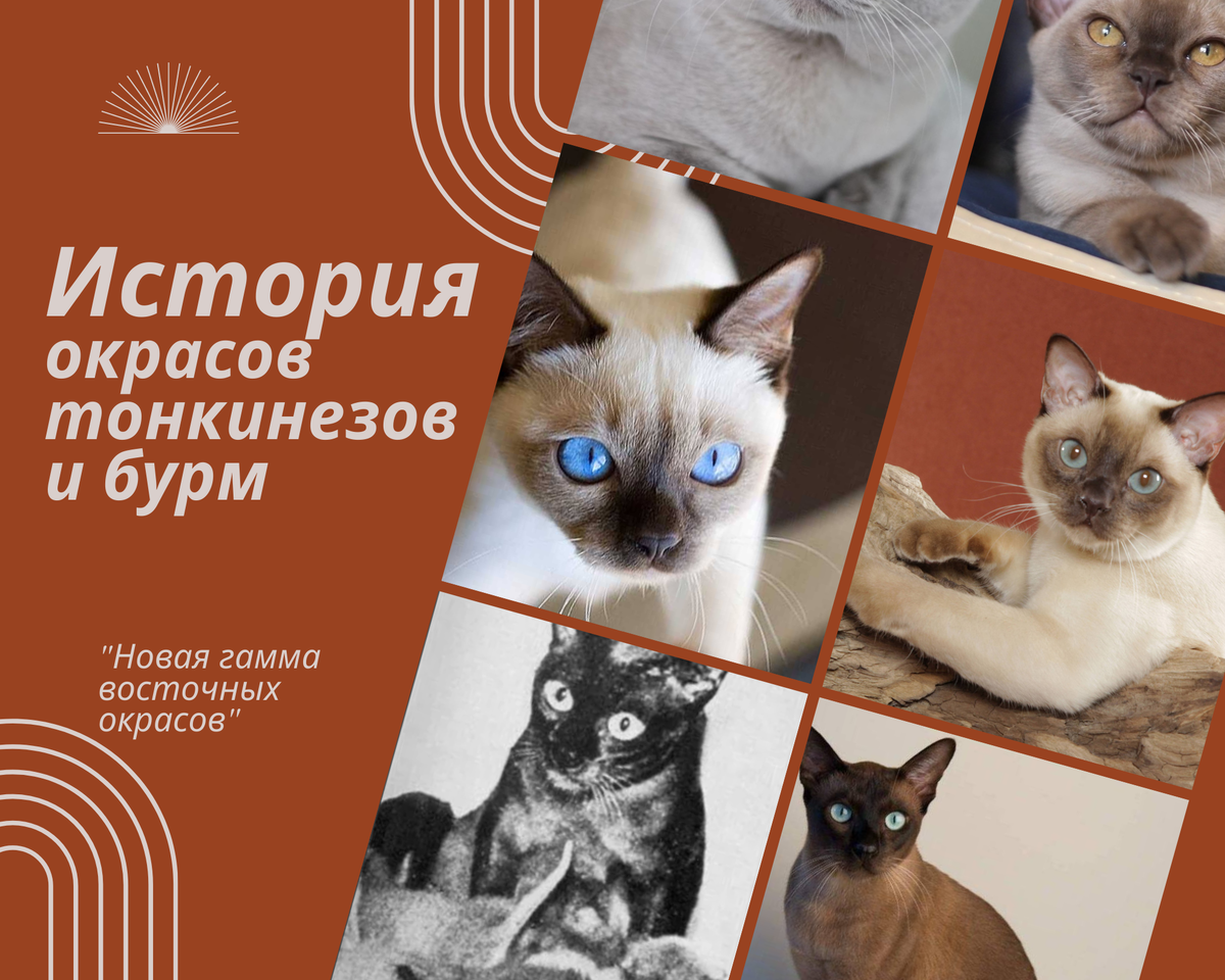 Пойнт-Минк-Сепия