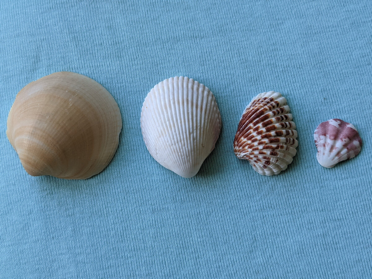 Папа, мама, ребенок и Олеся