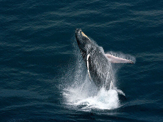   Кадр из фильма