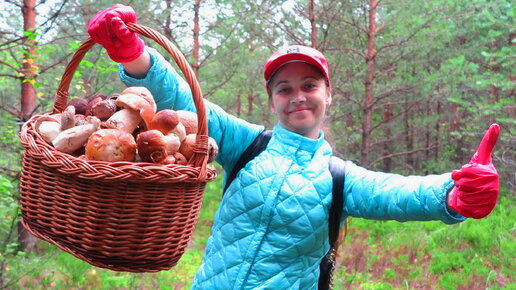 КТО РАНО ВСТАЁТ, ТОТ ГРИБЫ НАЙДЁТ – Белые грибы, Боровики (Белые сосновые), Подосиновики красные и серые, и альбиносы | Наши грибные места