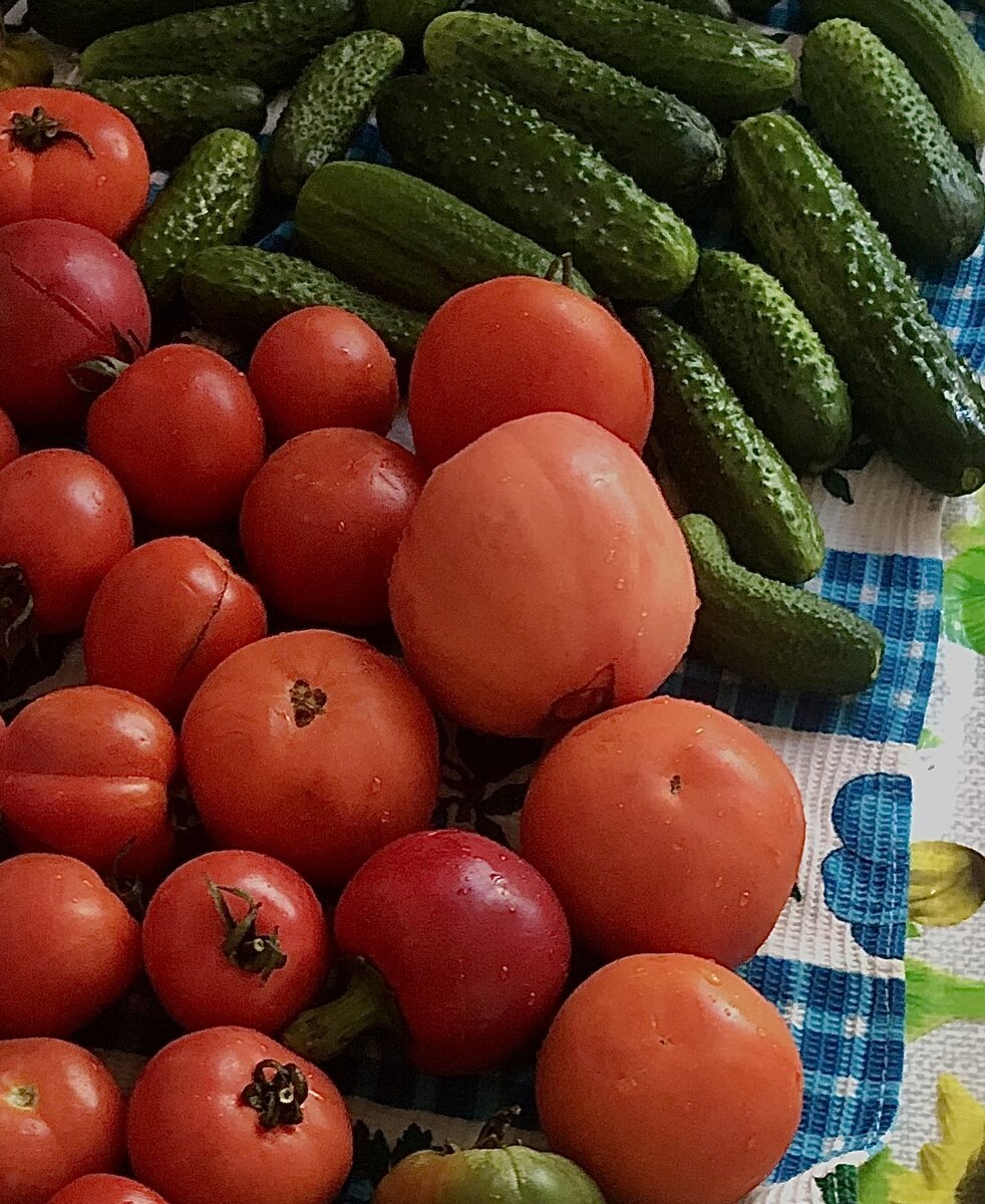 Сладкие огурчики пускаю на салатики и масочки для лица🧖🏻‍♀️