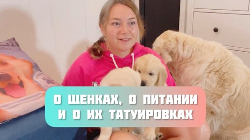 О щенках, что едят и о их татуировках