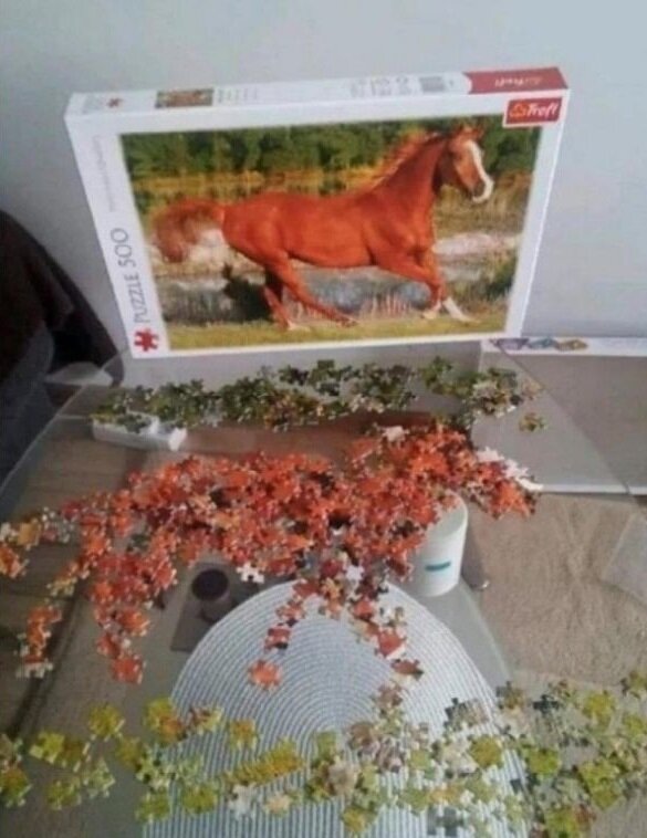 Фото из презентации Софьи Омелечко, ВСВА