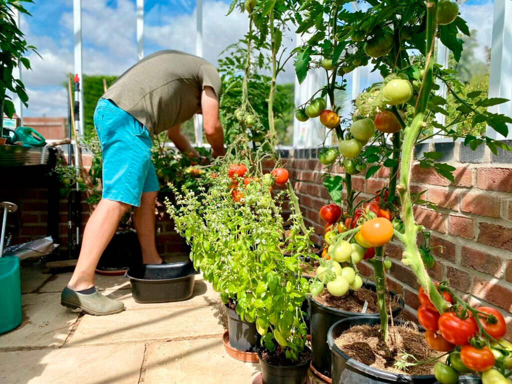 Пристройка у дома для небольшого урожая.