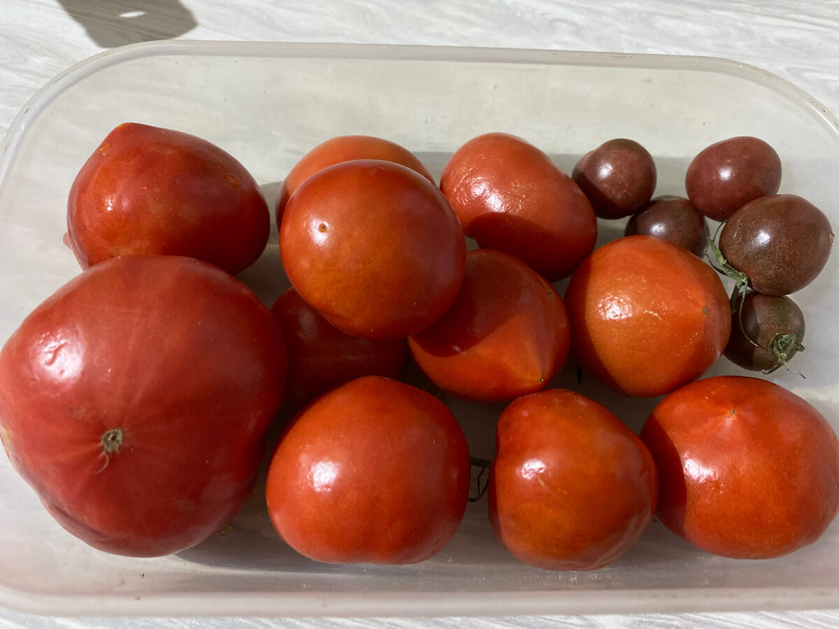 Последние из могикан. 24 ноября