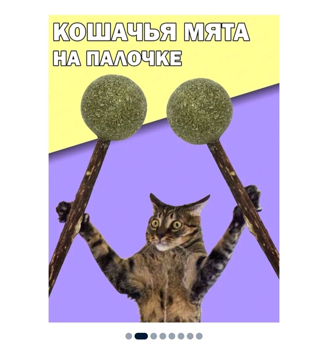 Кошачий леденец. Фото с сайта ozon