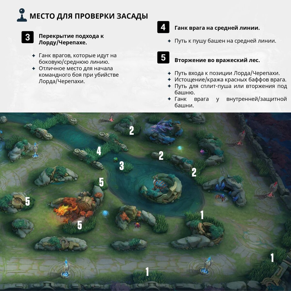 КАРТА И ОБЗОР В MOBILE LEGENDS. ГАЙД как пользоваться картой и преуспеть в  игре | Дронова говорит | Дзен