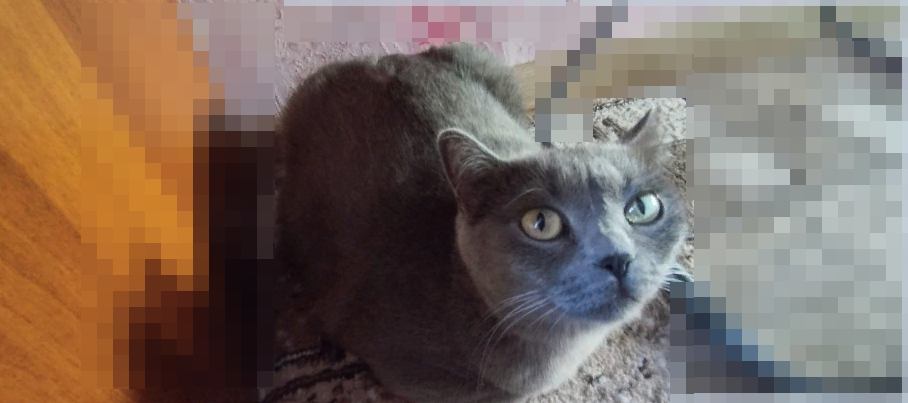 Фото из личного архива