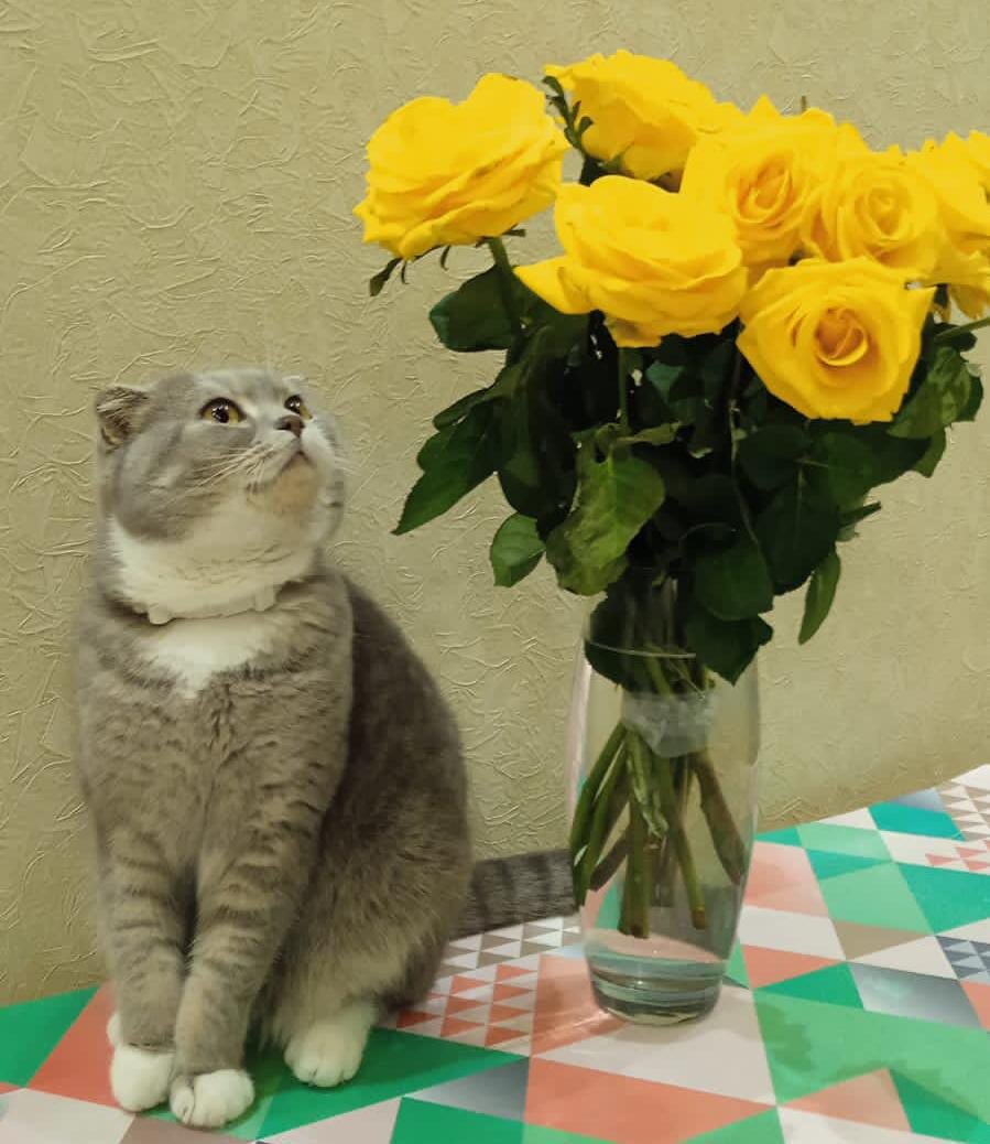 Прошу Вас дорогие друзья, уделить минутку времени, отвлечься от текста и поддержать данный канал в дальнейшем его продвижении и просто поставить лайк и подписаться. У вас это не отнимет и минуты времени, а для данного канала это имеет очень большое значение. Очень вам благодарна за внимание!