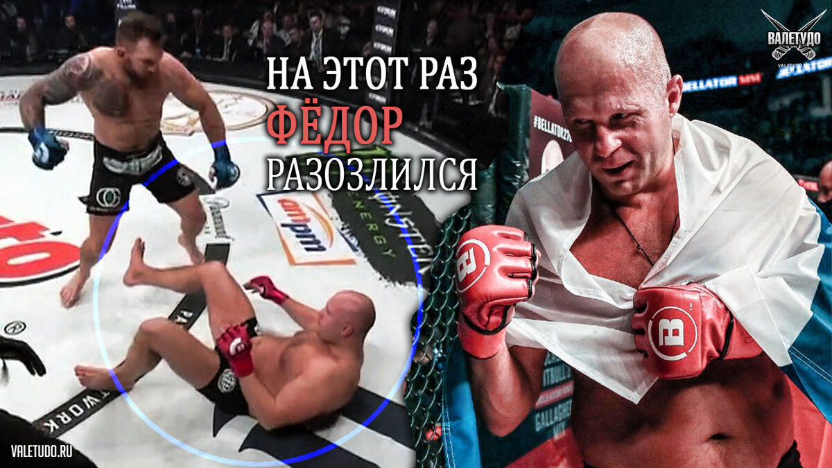 Емельяненко Бейдер