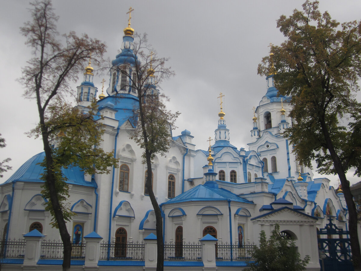 Знаменский собор Тюмень вид сверху