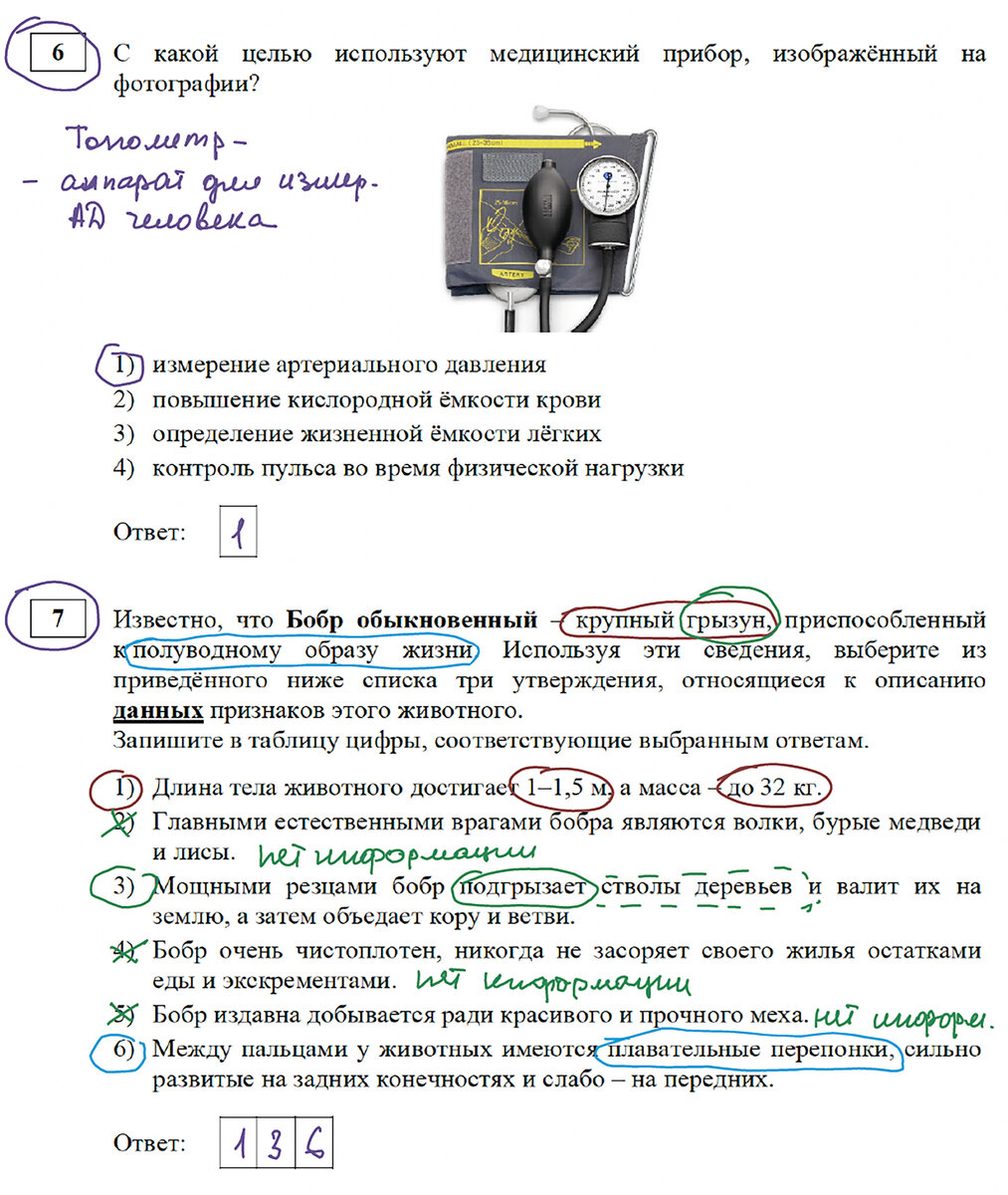 Погружение в ОГЭ по Биологии - самый лучший курс системного анализа  реальных заданий ОГЭ 2024! Приходи ко мне учиться! | Репетитор-профессионал  Богунова В.Г. | Дзен