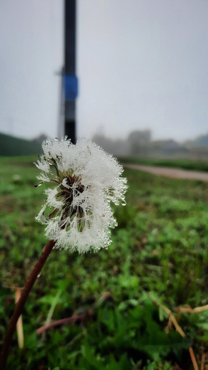 Утреннее фото, мороз был 😐