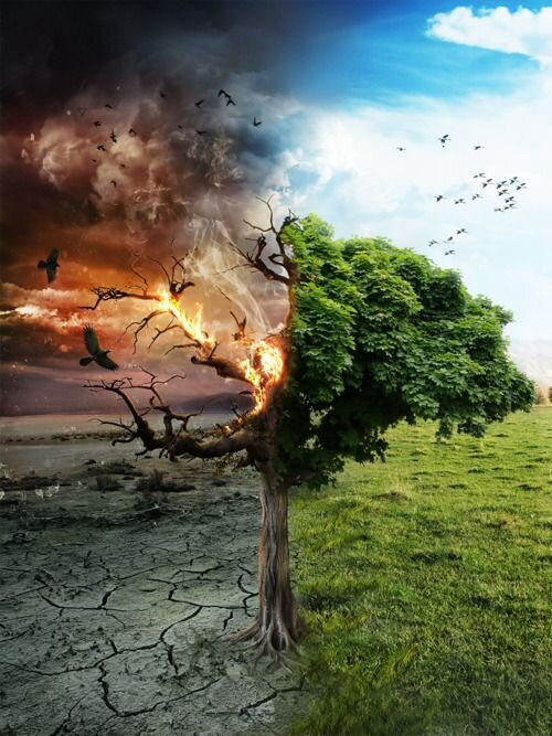 Источник: Pinterest