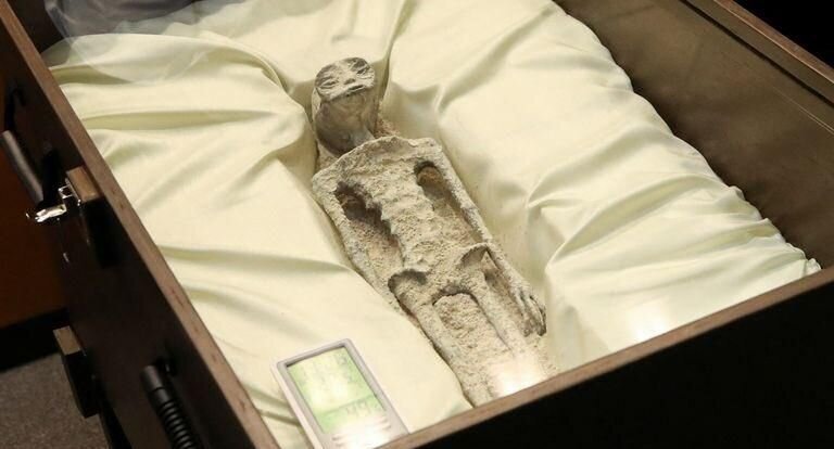 Мумии инопланетян. Изображение с YouTube-канала Canal del Congreso México.