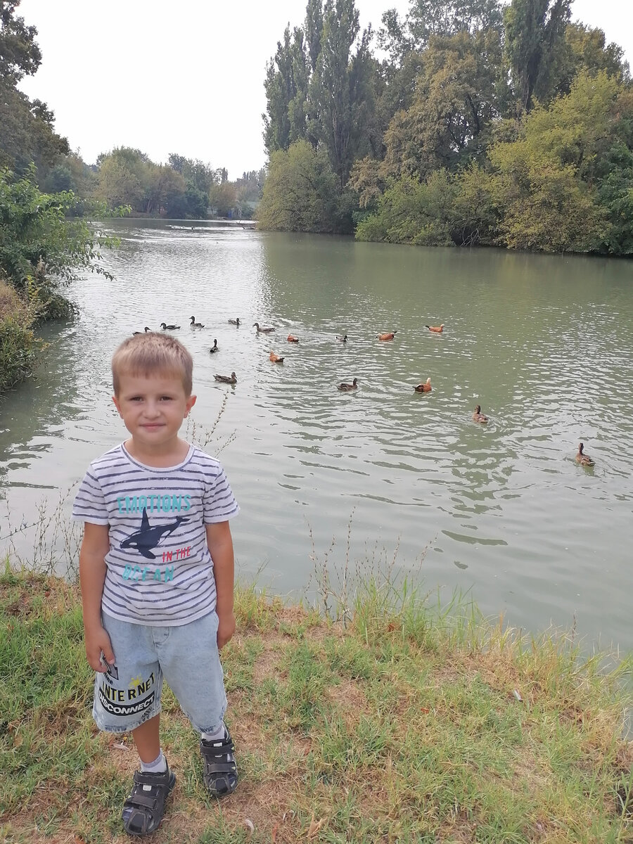 Краснодар, Солнечный Остров. На озере очень много уток. Фото автора, 2023 год. Больше фото в карусели.