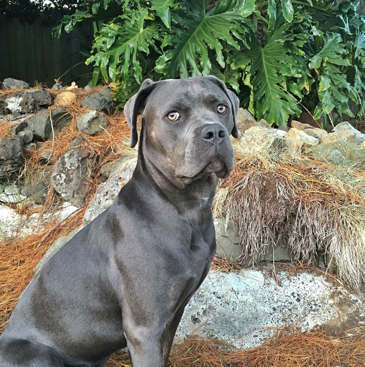 Фото взято в качестве иллюстрации из открытых источников