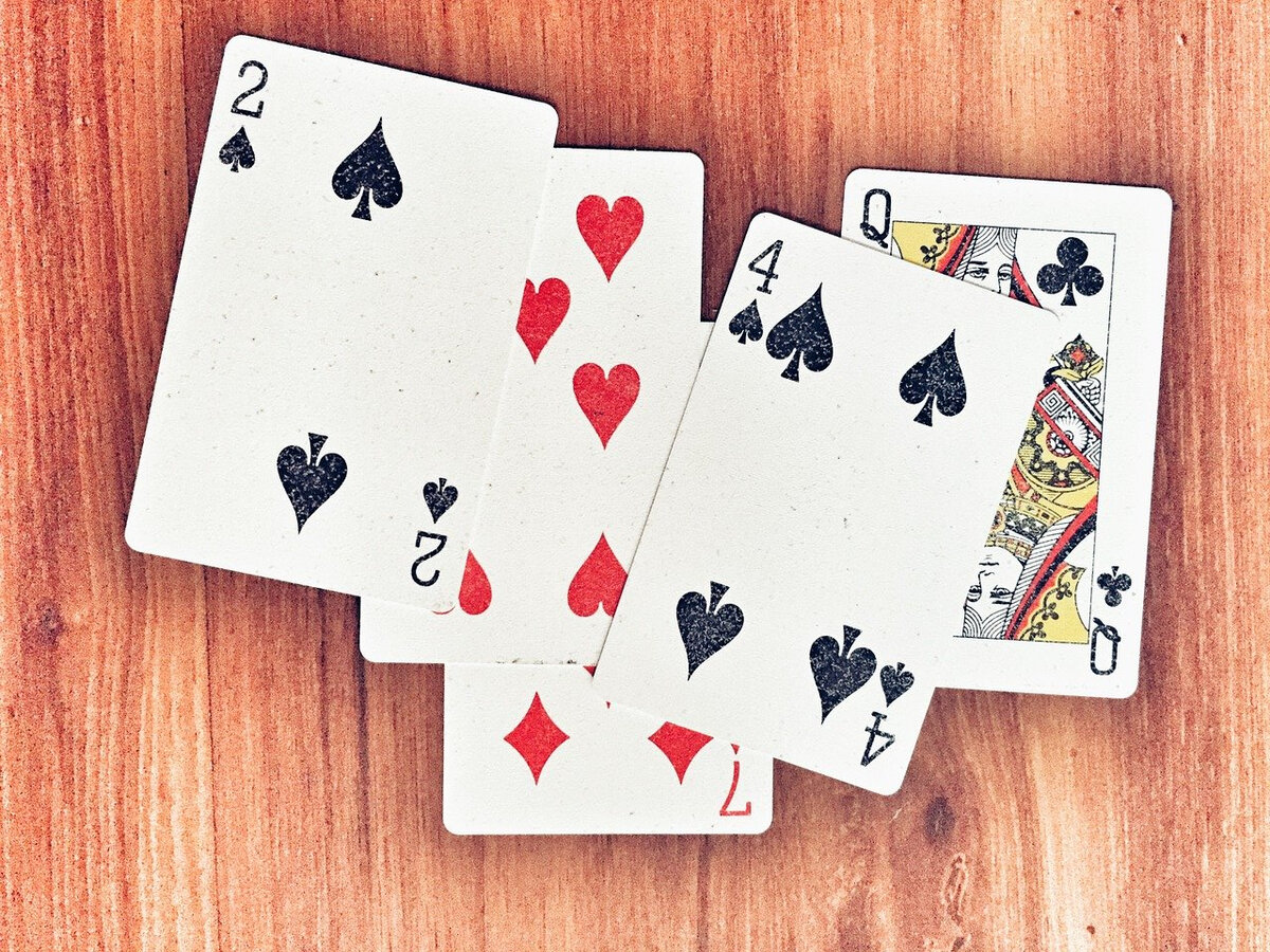 Фото из открытых источников