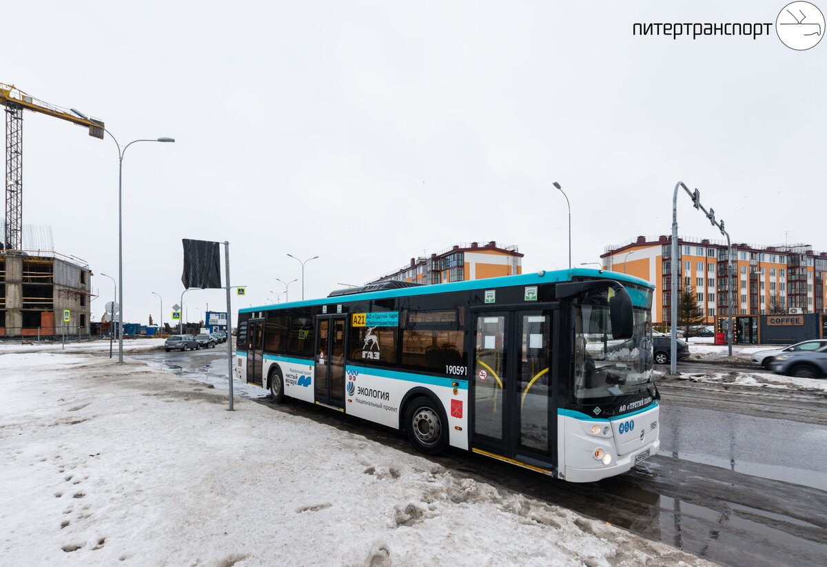 В СПб появились 3 автобуса на принципиально новом топливе. Что за зверь? |  Питертранспорт | Дзен