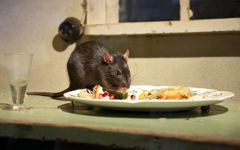 фото из свободного источника