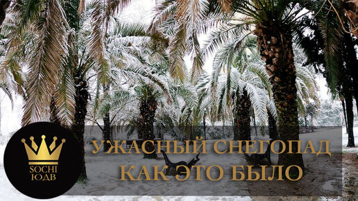 Сочи как это было. Сочи юдв. абхазия весной.