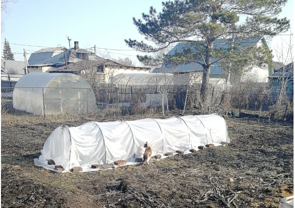 Бутуз проверяет новое сооружение, весна 2020