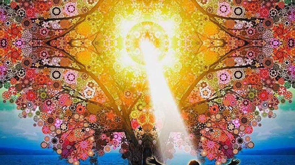 ЧТОБЫ БЫСТРО ПОМОЧЬ ЗАБОЛЕВШЕМУ МАГУ