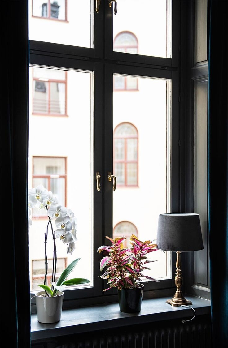 Фото взято с  pinterest.com 